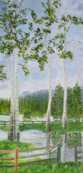 Bitterroot Ponderosa: Oil painting of ponderosa pines in Montana